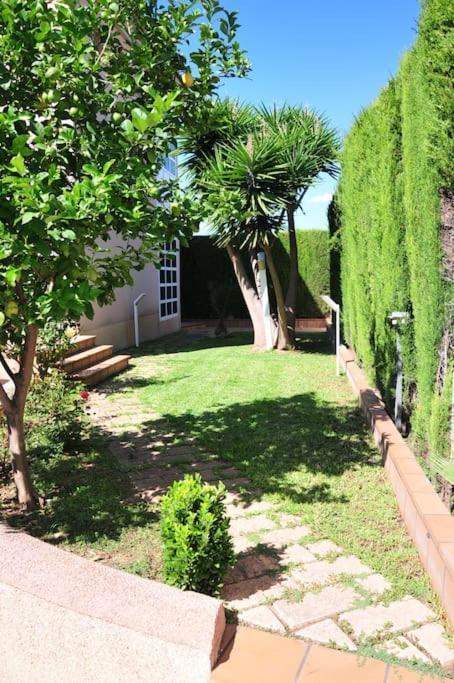 Villa Alfabia Palma Extérieur photo